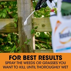 Roundup Poison Ivy Plus Tough Brush Killer2 with Comfort Wand, 1 gal.