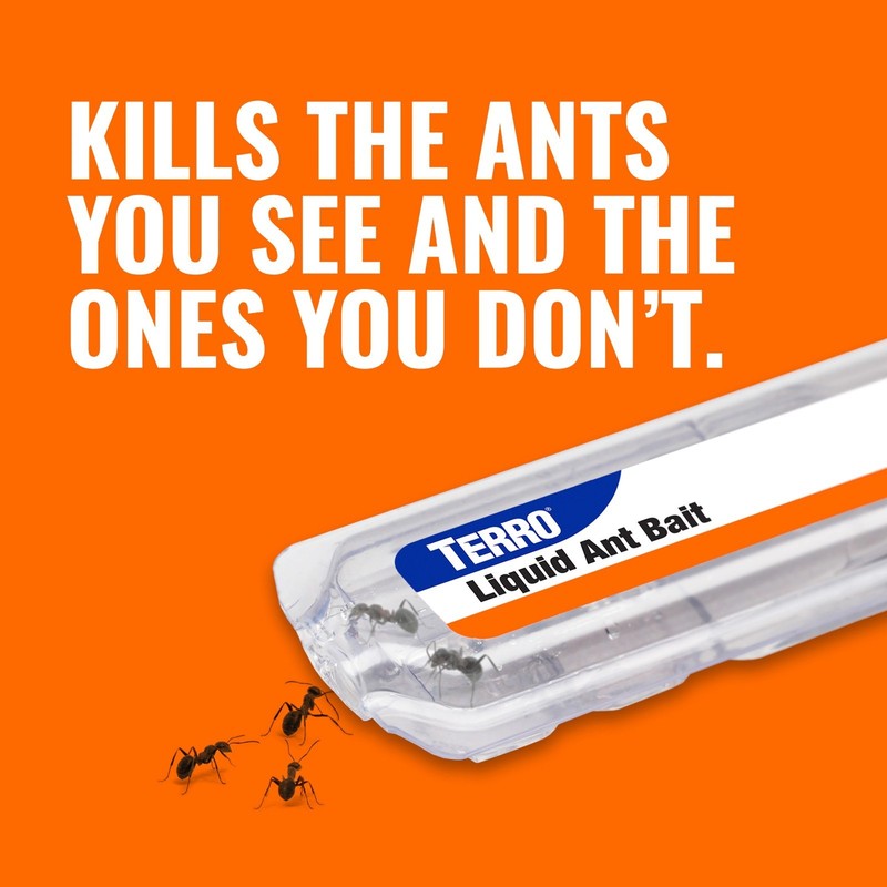 TERRO T300 Indoor Liquid Ant Baits 6 Count Bait Stations Ant Control gallery
