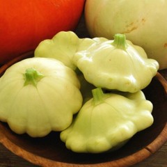 Bennings Green Tint Scallop Squash Seeds | Patty Pan Squash | Free Ship | 1123