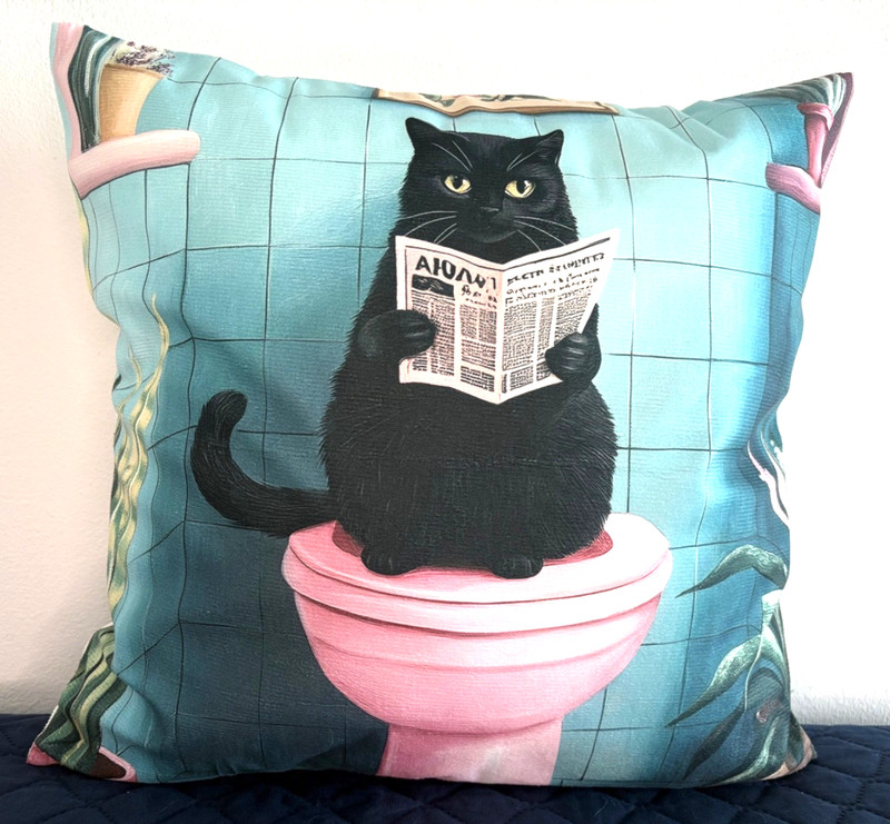 Curious Black Cat Reading Newspaper Pillow Cover – Whimsical Home Decor gallery